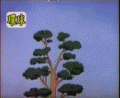 猫和老鼠表情
